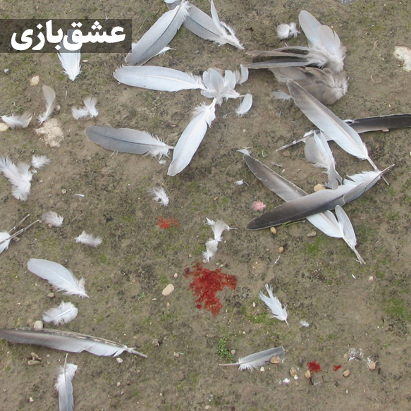 داستان کوتاه عشق‌بازی