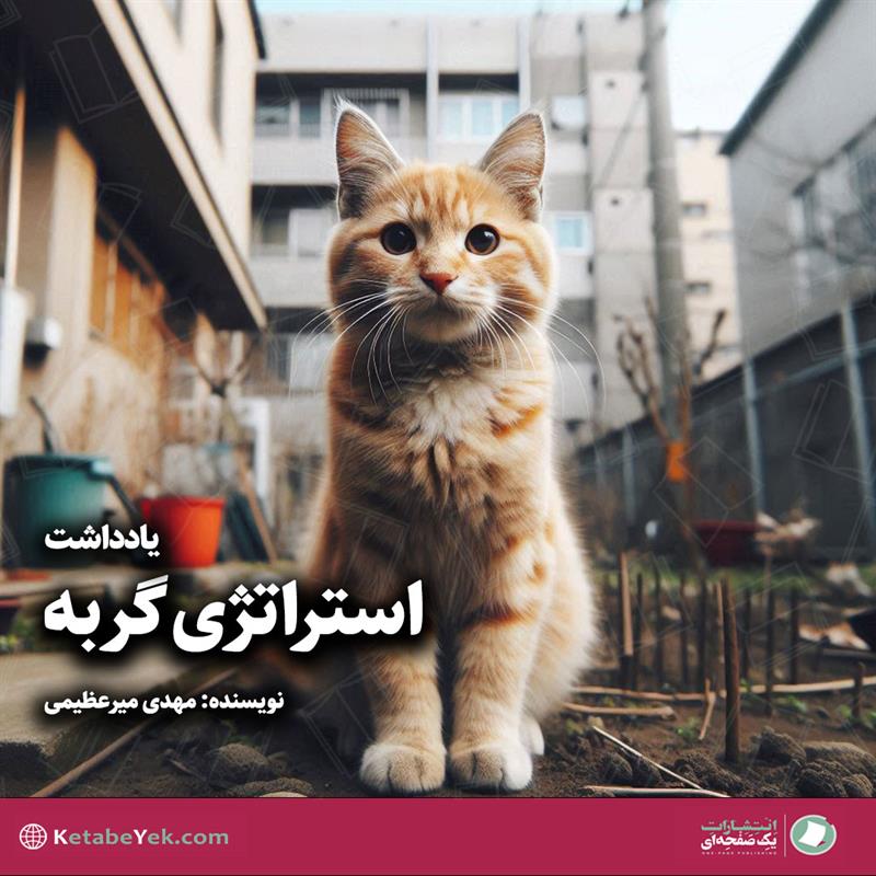 داستان استراتژی گربه نوشته مهدی میرعظیمی