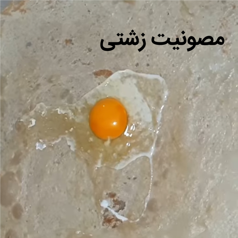 مصونیت زشتی