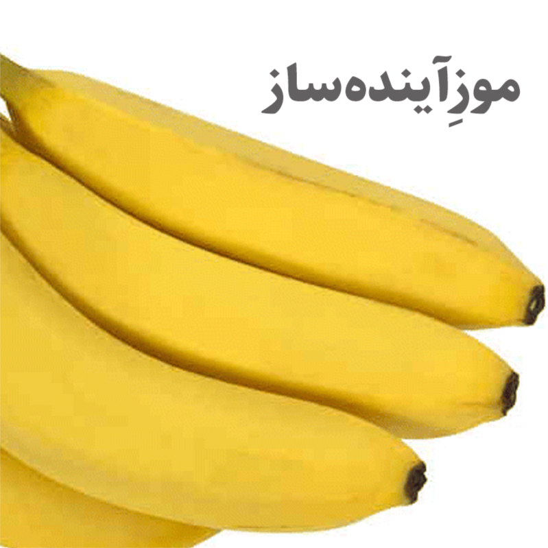 موزِ آینده‌ساز