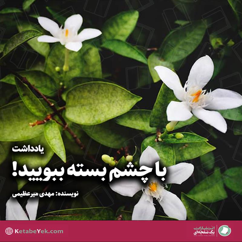 با چشم بسته ببویید! بوی بهار نارنج